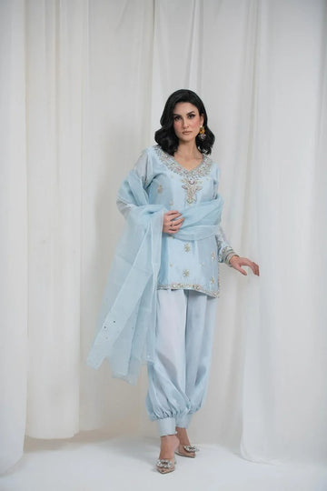 Elsa blue